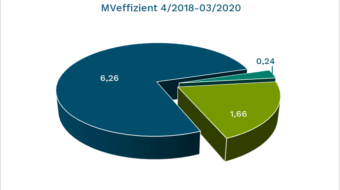 MVeffizient schafft den Ausgleich: Mit Roterlen und Moorwiesen im Rostocker Stadtwald