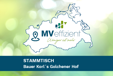 Vor-Ort-Stammtisch: Biomasse – Wärmeversorgung im Unternehmen mit nachwachsenden Rohstoffen