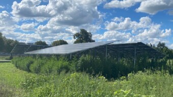 Hanf Farm in Melz setzt auf Sonnenstrom und Abwärmenutzung