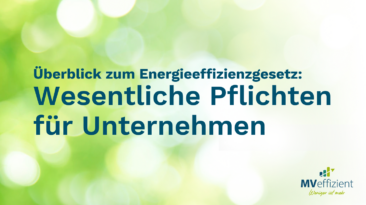 Das Energieeffizienzgesetz – Was auf Unternehmen zukommt