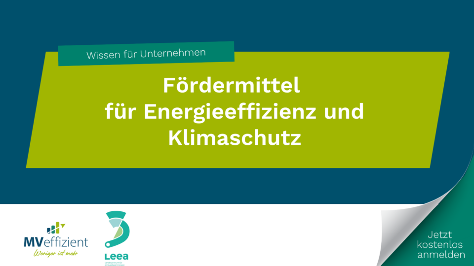 Fachveranstaltung in Neustrelitz: MVeffizient und Leea e.V. bieten Unternehmen konkrete Hilfe bei Fördermitteln von Bund und Land